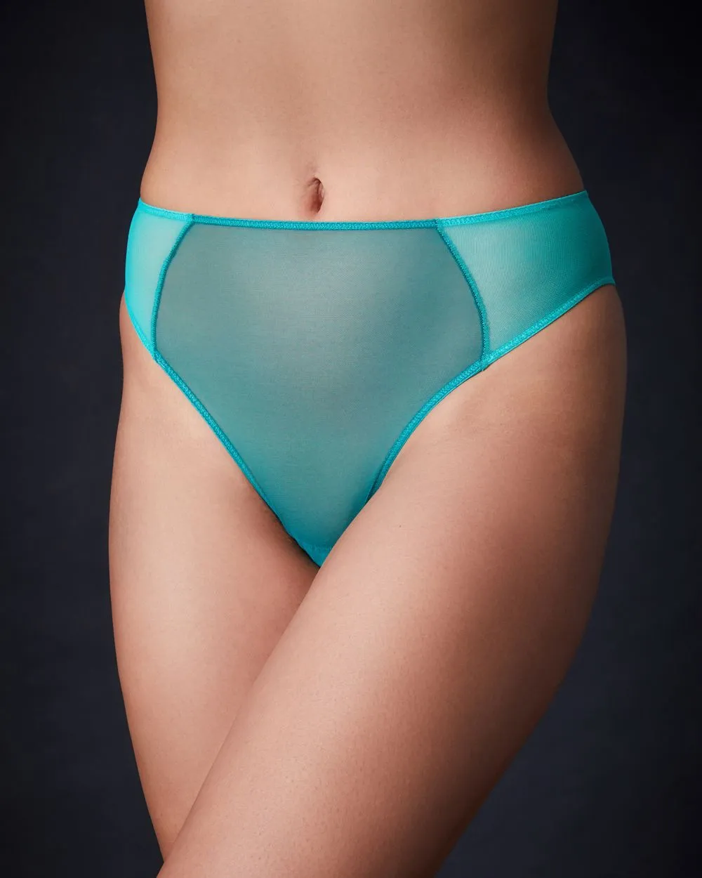 Color Block Whisper High Cut Brief