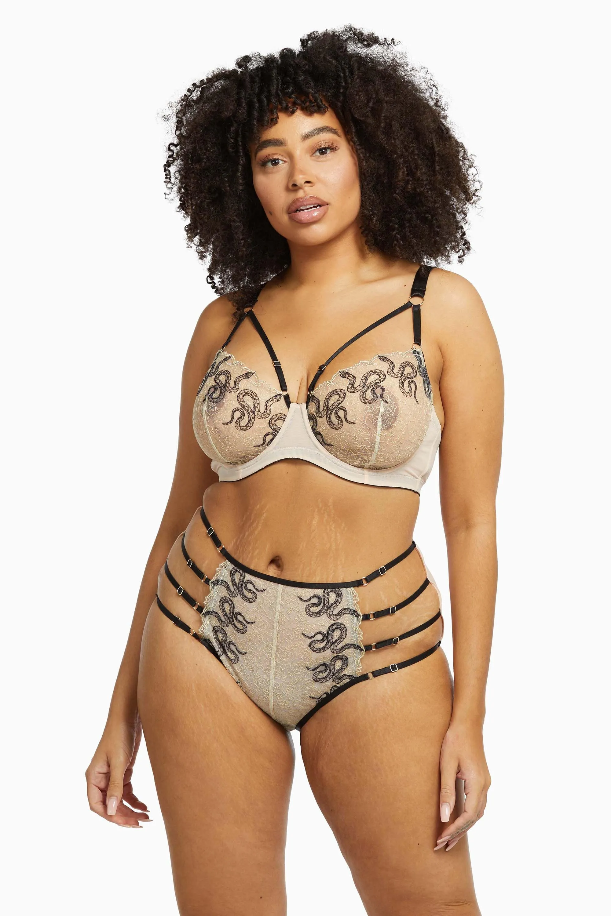 Dakota Snake High Waist Brief with Ring Details and Straps