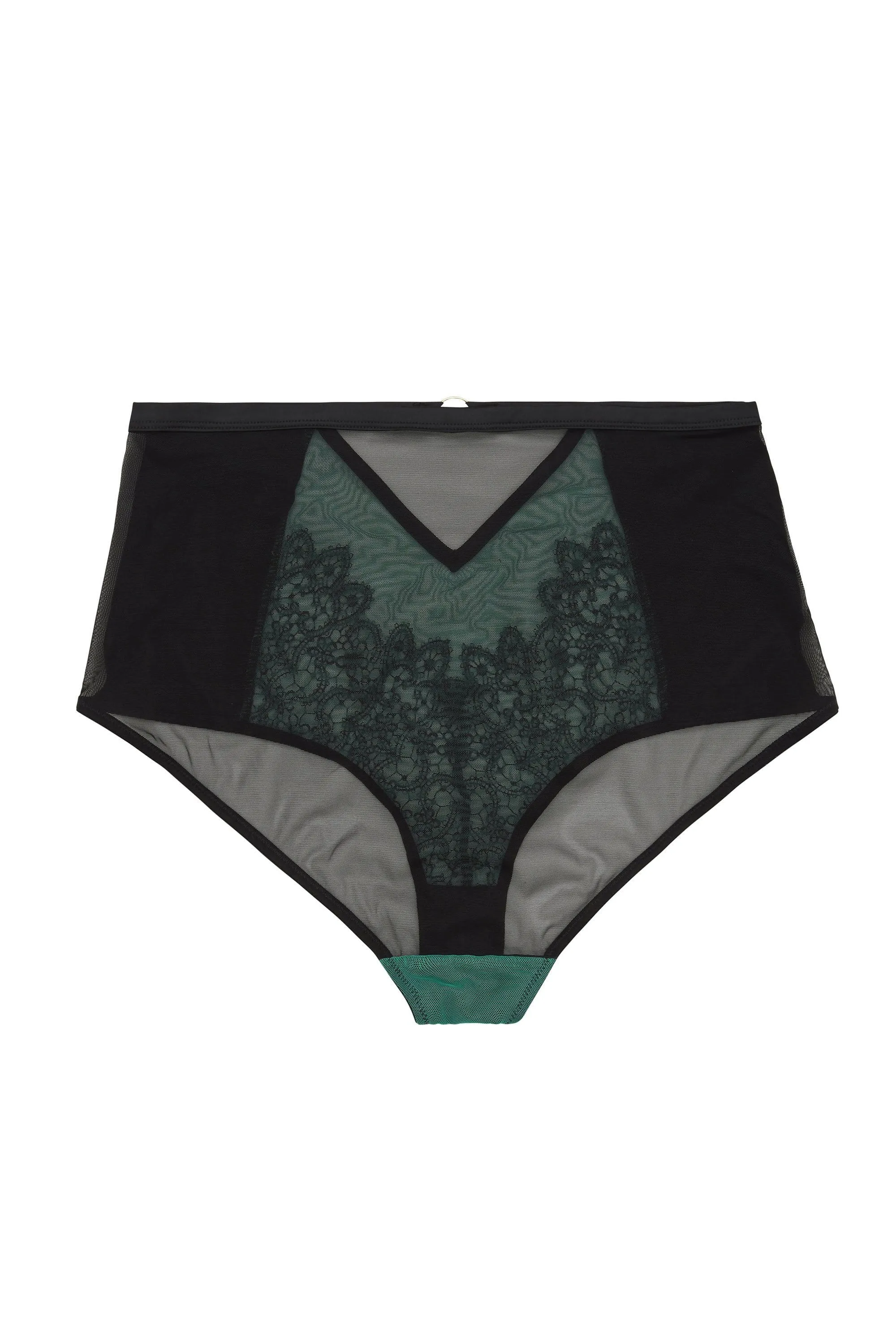 Emelda High Waist Brief Curve