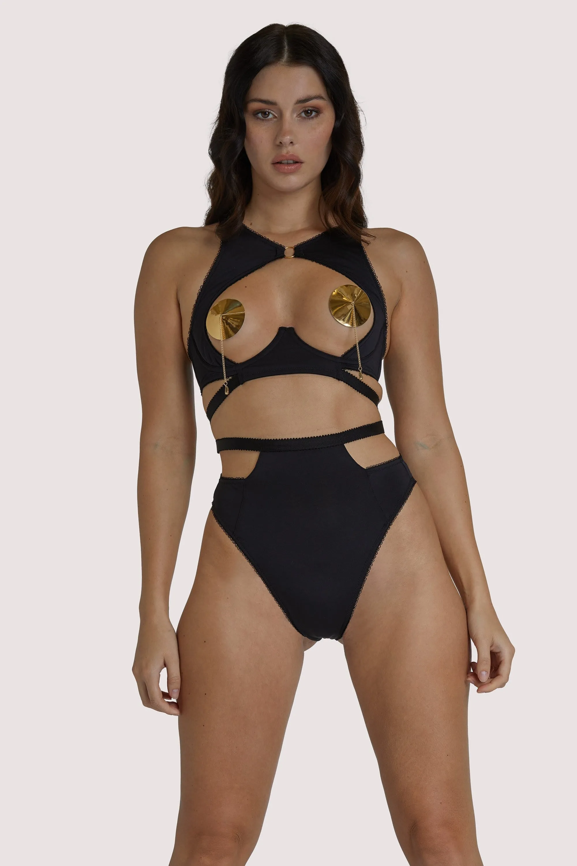 Regalia Zadie High Waist Brief