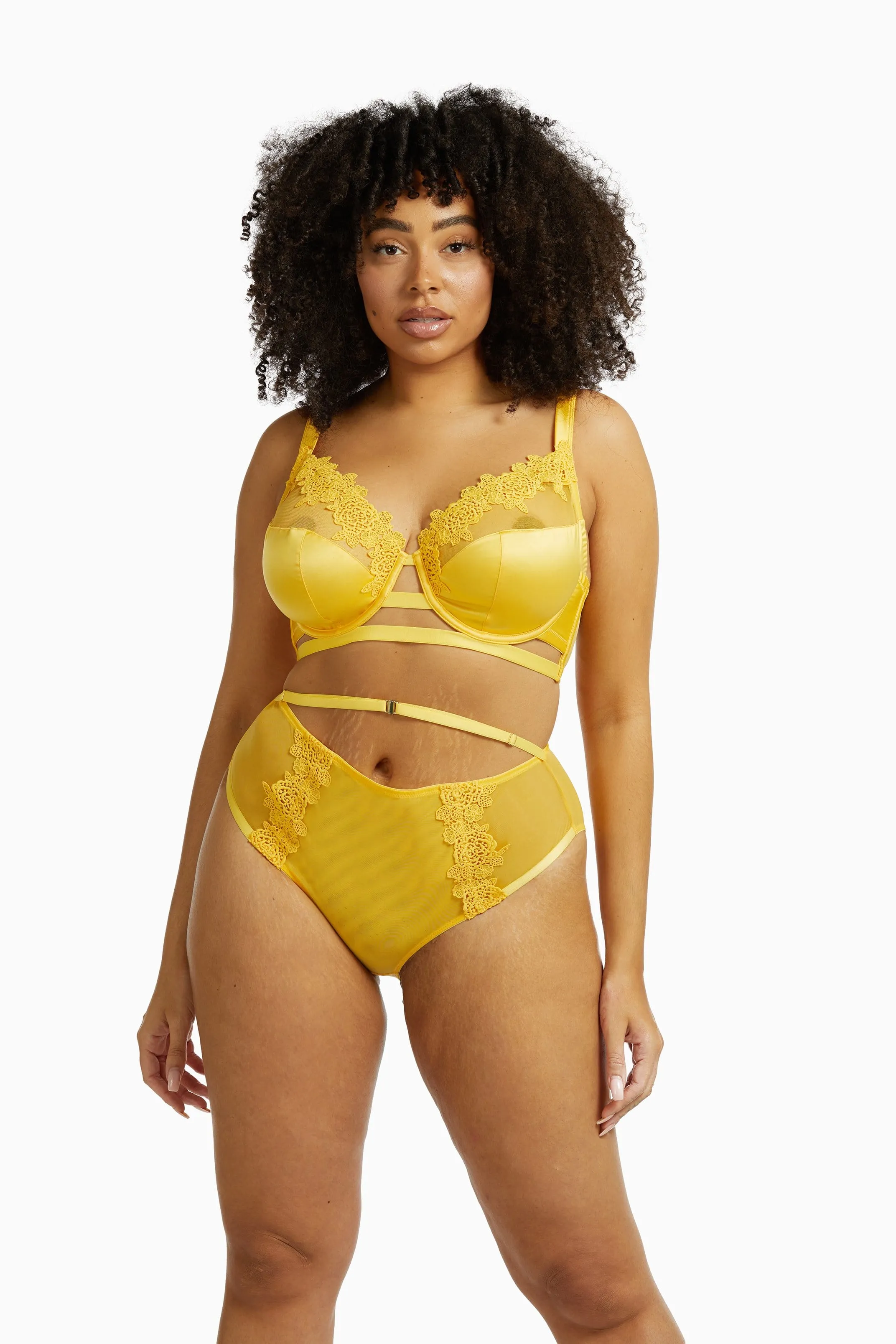 Vivienne Mustard Net Satin & Lace High Waist Curve Brief